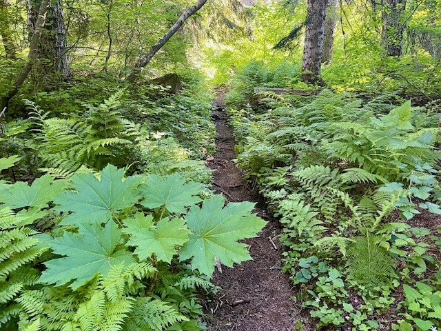 Browder Ridge
