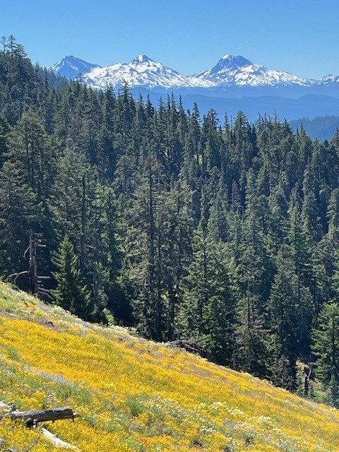 Browder Ridge