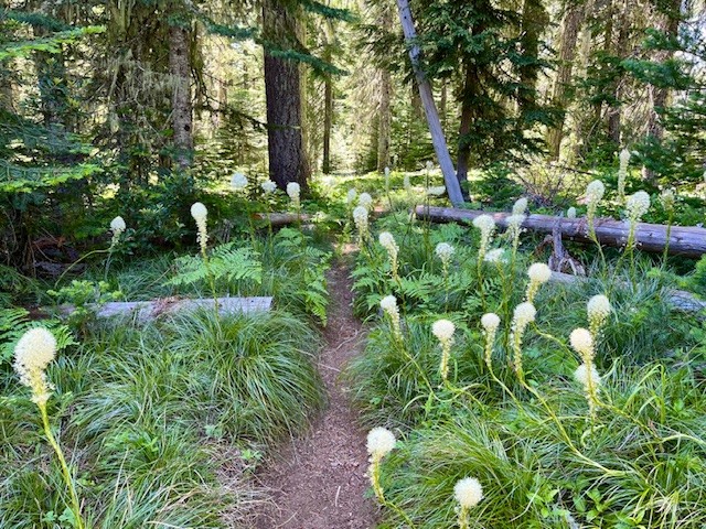 Patjens Lakes